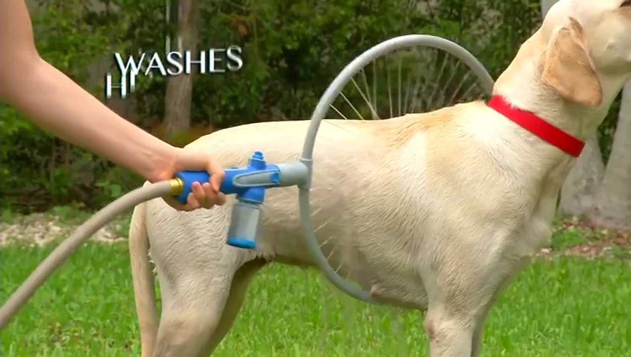 Best way to wash your dog without any bath time! Woof Washer Vidéo