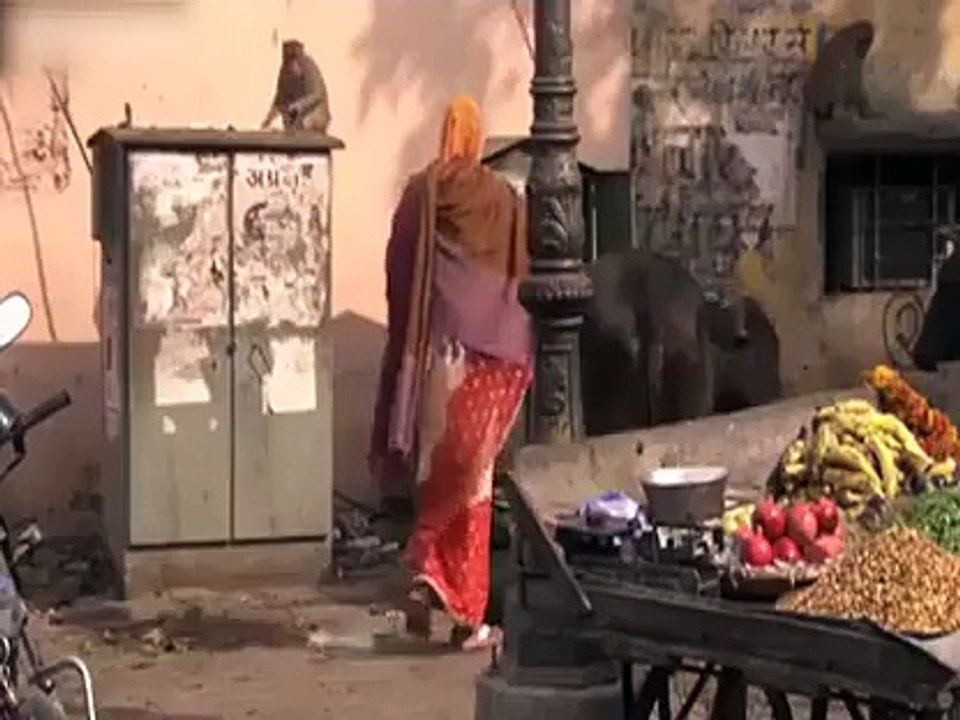 راتوں رات لکھ پتی ۔۔۔۔