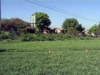 Obediencia Clase Internacional 1era. sesión "BOX"