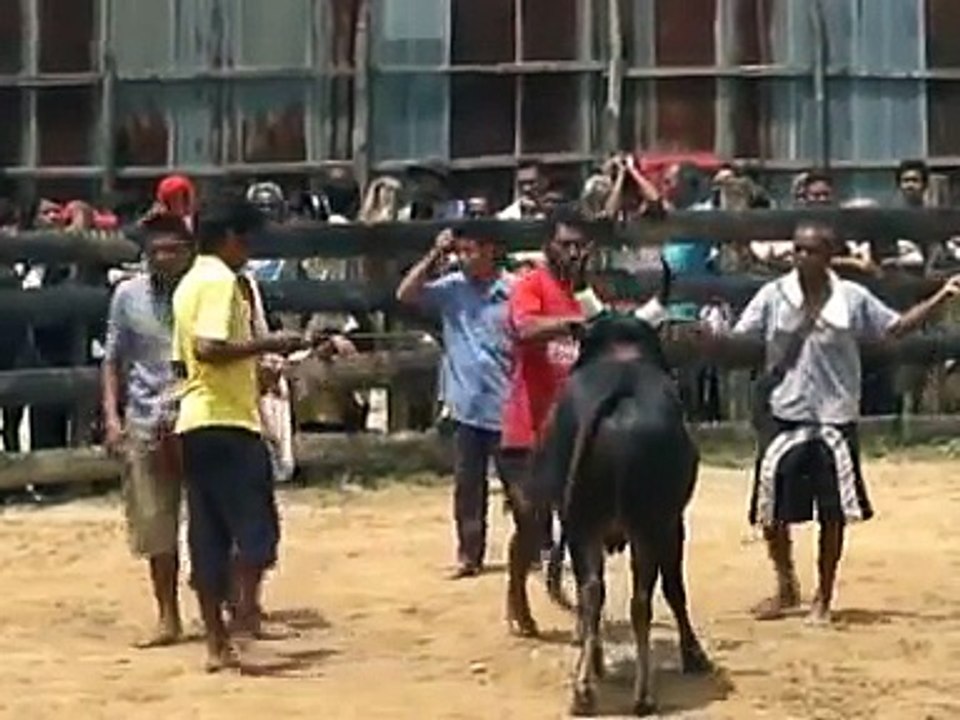 ฺBullFCลางสาดมดคันไฟVSโหนดวงเทียน
