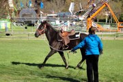 The Headless Horseman at Old Bethpage Village Restoration