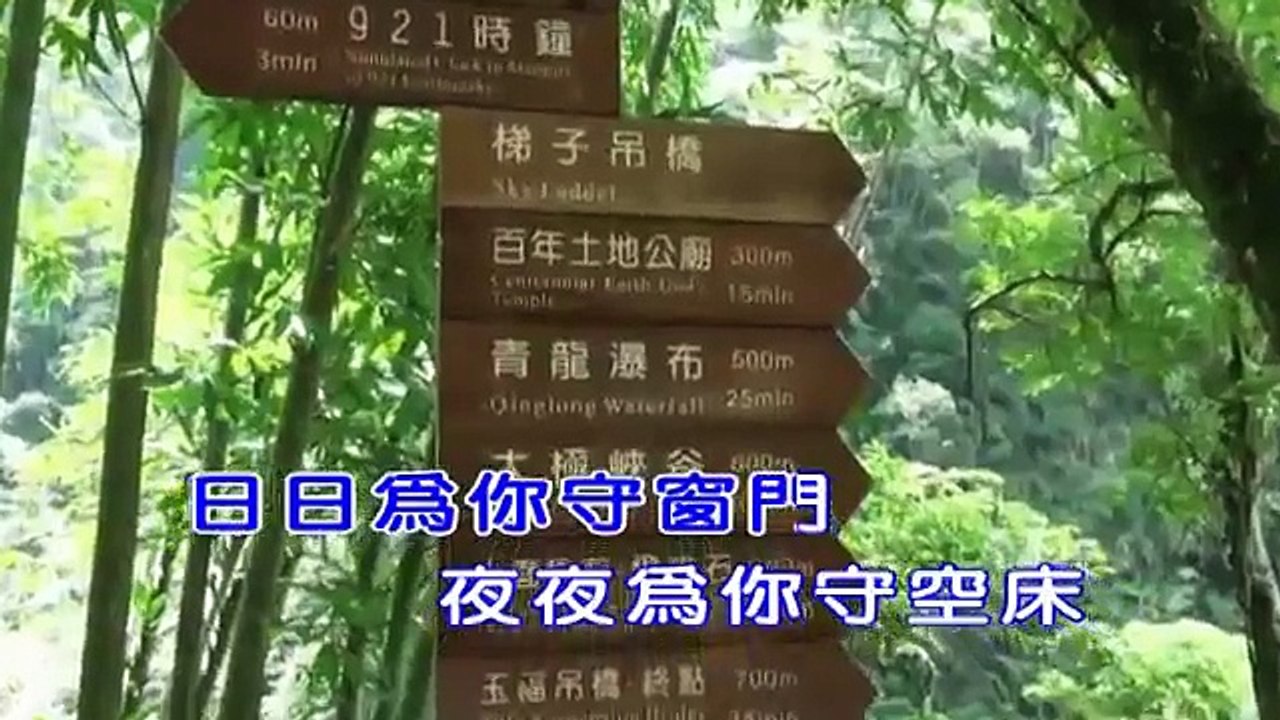 陳怡婷-愛你袂起-KTV