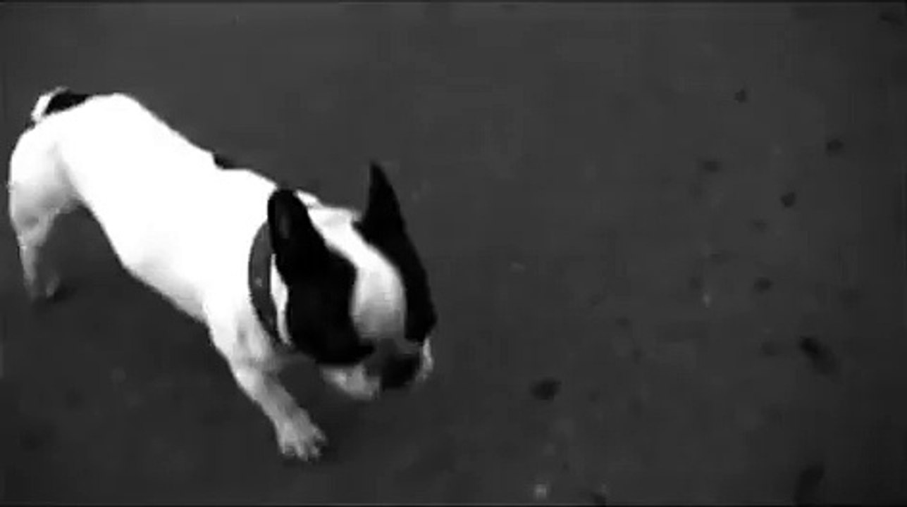 Favio Posca - Carita