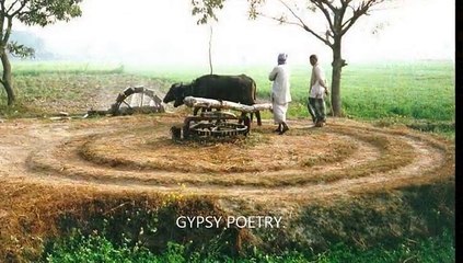 Door Talak Veerana Hai