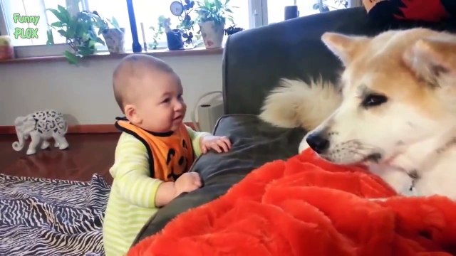 Bébés Drôles Parler Aux Chiens. Compilation [Nouvelle HD]