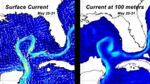 New NOAA forecast: Loop Current NOT collapsing; BP Oil Spill