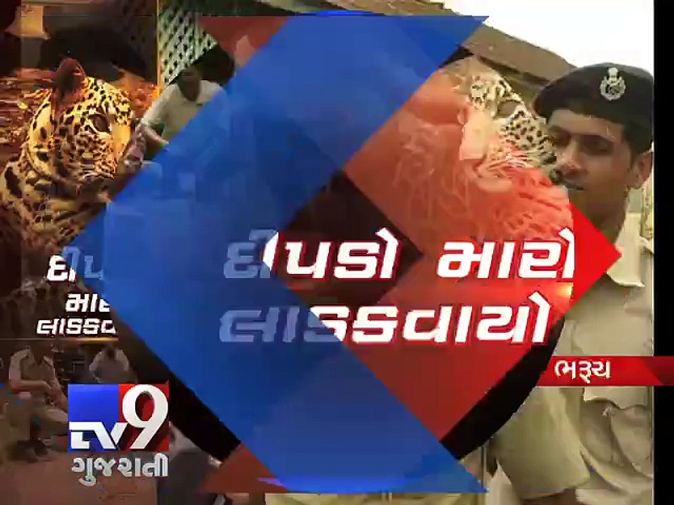 Endangered LEOPARD share 'unique bond' with forest officials - Tv9 Gujarati