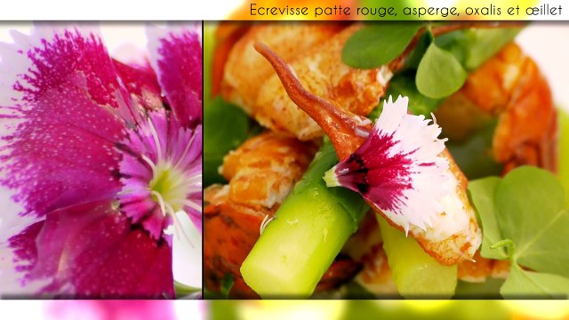 Quand les Cuisine Bernollin invitent Yohann Chapuis