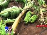 Crops, property worth lakhs damaged as heavy rains lash Gir-Somnath - Tv9 Gujarati