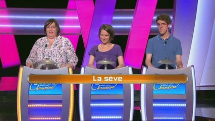 Questions pour un Champion - Quatre à la suite - 30.06.2015