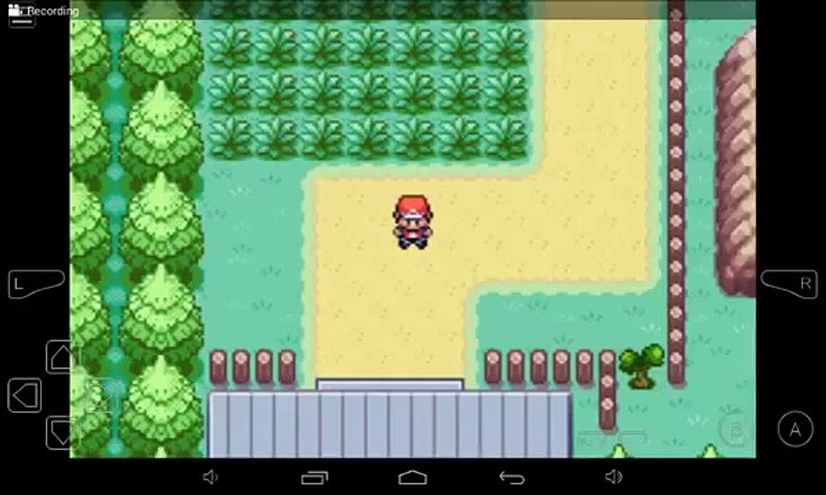 Pokemon FireRed #3 - First Badger and Evolution
