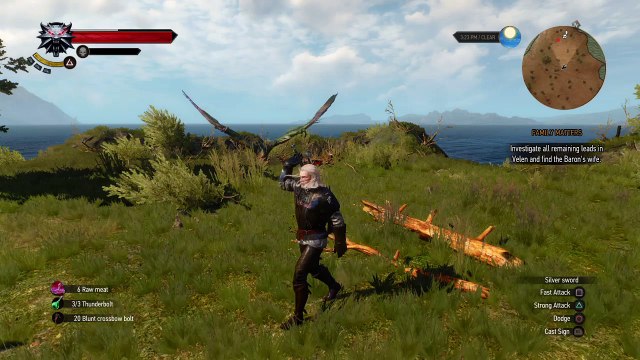 The Witcher 3: ps4 doesn't lag , seen the pc version laggy and cant see any difference in graphics