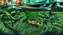 Appareil de Golgi en 3D