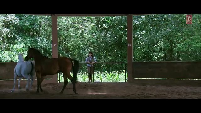 Tu Hai Ki Nahi - Unplugged - Roy - Videos -new H.D dailymotion.com/wa-qas-akhtar