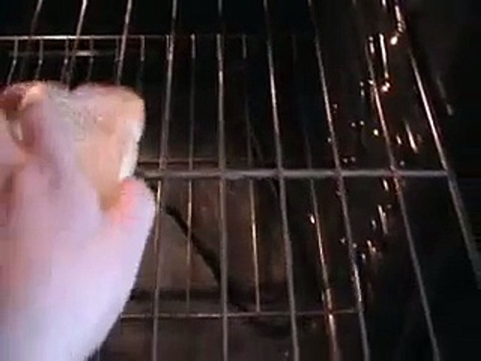 Making toast in an oven