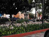 Guanajuato GTO  Mexico