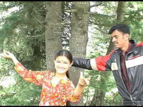 Pipli Ra Buto | Himachali Folk Song | Yashpal Chauhan | Himachali Hits | Tanya Music & Boutique