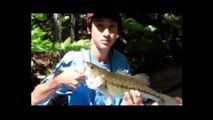 Largemouth Bass Fishing With Frogs