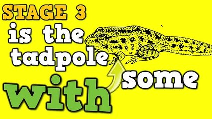 Froggy, Froggy!  (a song for kids about the frog life cycle, etc...)