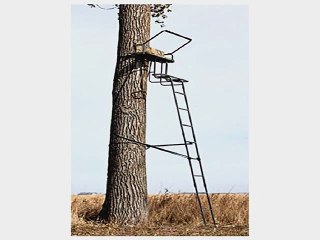 Most Popular Tree Stands