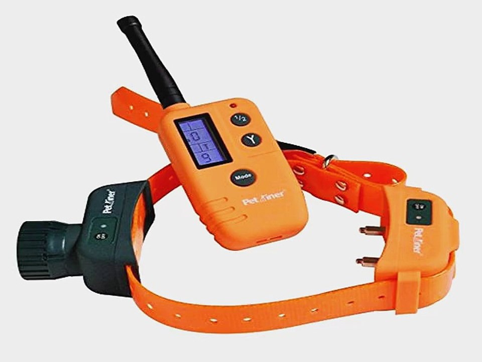 Most Popular Hunting Dog Equipment