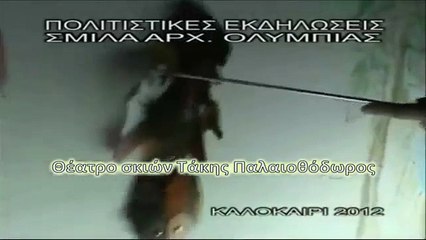Τάκης Παλαιοθόδωρος - Πλάνα απο παράσταση Καραγκιόζη