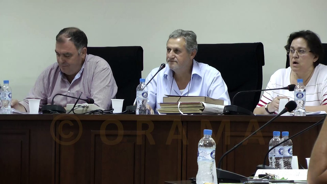 Δημοτικό Συμβούλιο Δήμου Παιονίας 30-06-2015