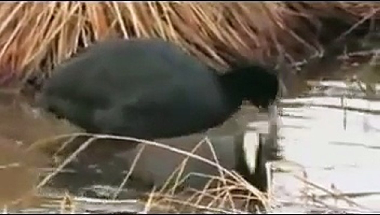 Kars-Ardahan Belgeseli Bölüm 2