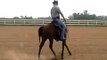 Mike Davis Reining Horses training video #2 - May 11, 2011