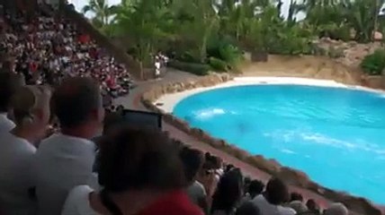 pani me machli ka kamal