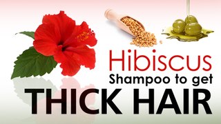 Home Made Hibiscus Shampoo for Dark, Long and Shiny Hair