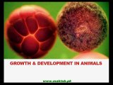 FSc Biology Book 2 CH 19, LEC 3; Development in Animals - Part 1