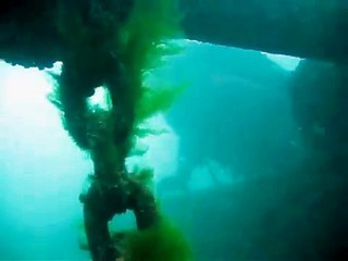 Scuba Diving the St. Clair River 1