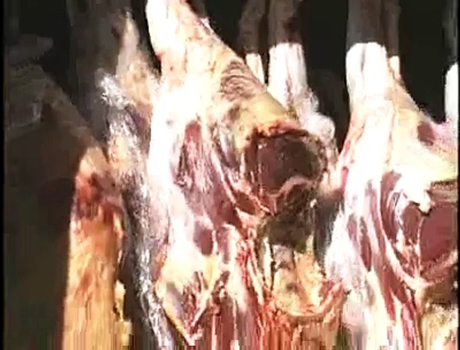 CARNE CLANDESTINA