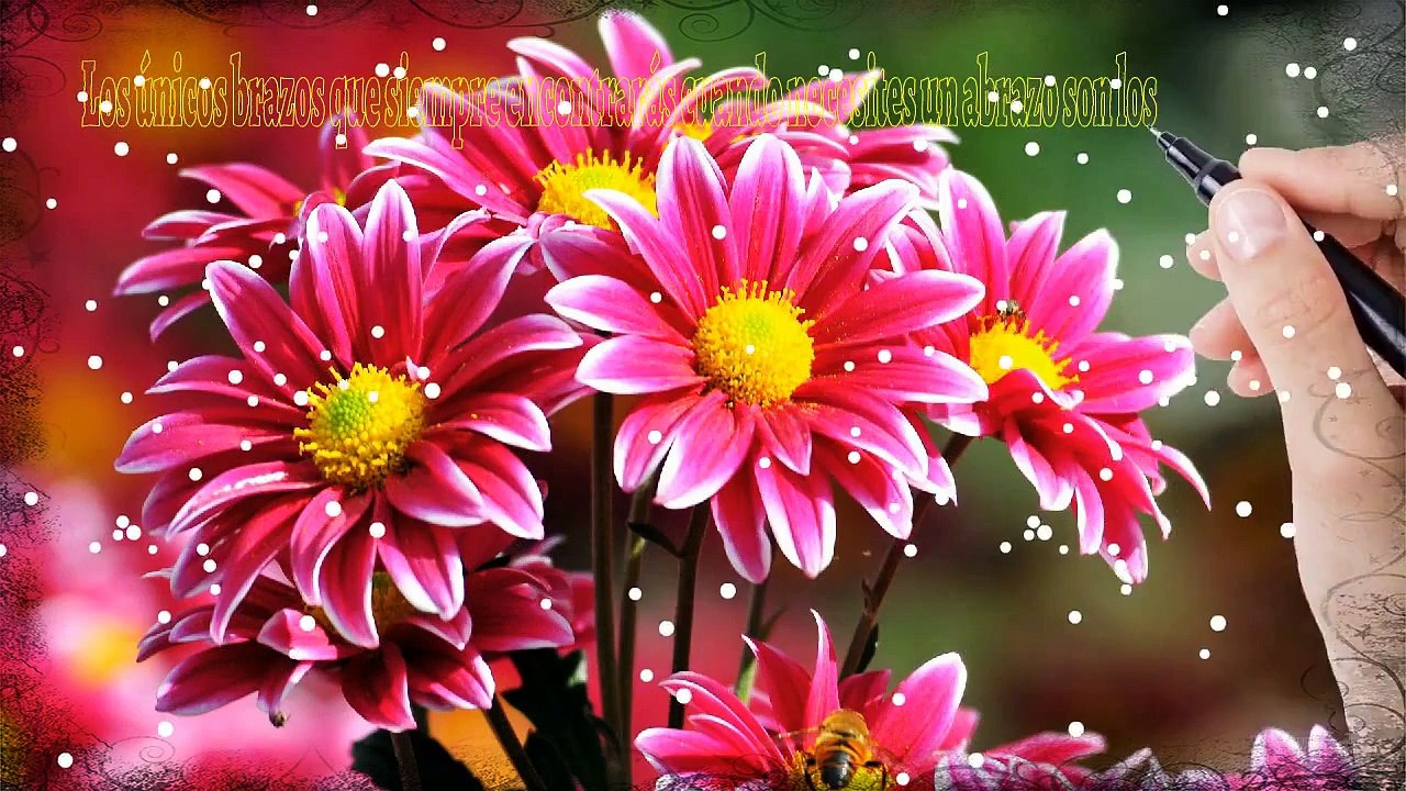 Frases Para MAMA - Frases Para El Dia De La Madre Amiga, Feliz Dia De La Madre Linda