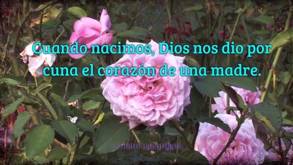 Frases Para MAMA - Frases Por Dia De La Madre -  Frases Cortas Para Mamá