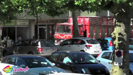 Débarquement de brebis pour la mise en place de l’éco-pâturage à dax