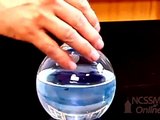 Blue Bottle Equilibrium |  school science projects, | physics science experiments,