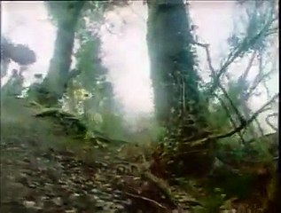 Daisy Chainsaw- Pink Flower