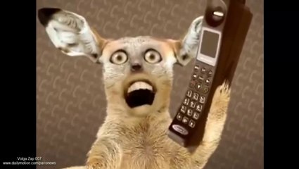 Volga Zap 007 (02-07-2015)