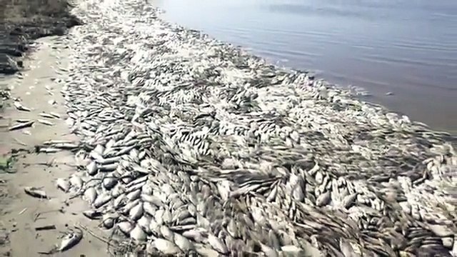 Ex FBI Chef packt ueber Chemtrails aus (Ted L Gunderson R.I.P.)