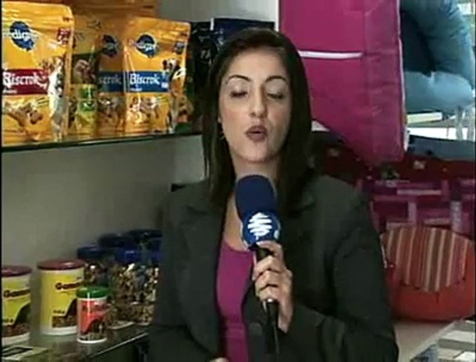 Chocolate cachorro