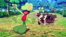 Pokémon Rubis Oméga et Saphir Alpha - Trailer anime (VOSTFR)