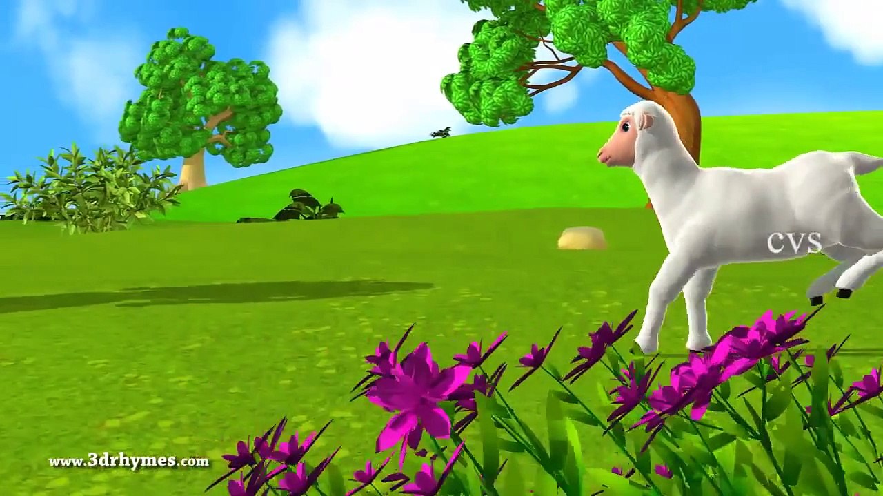 Rabbit and Tortoise Story   3D Animation Panchatantra & Aesop Fables for children