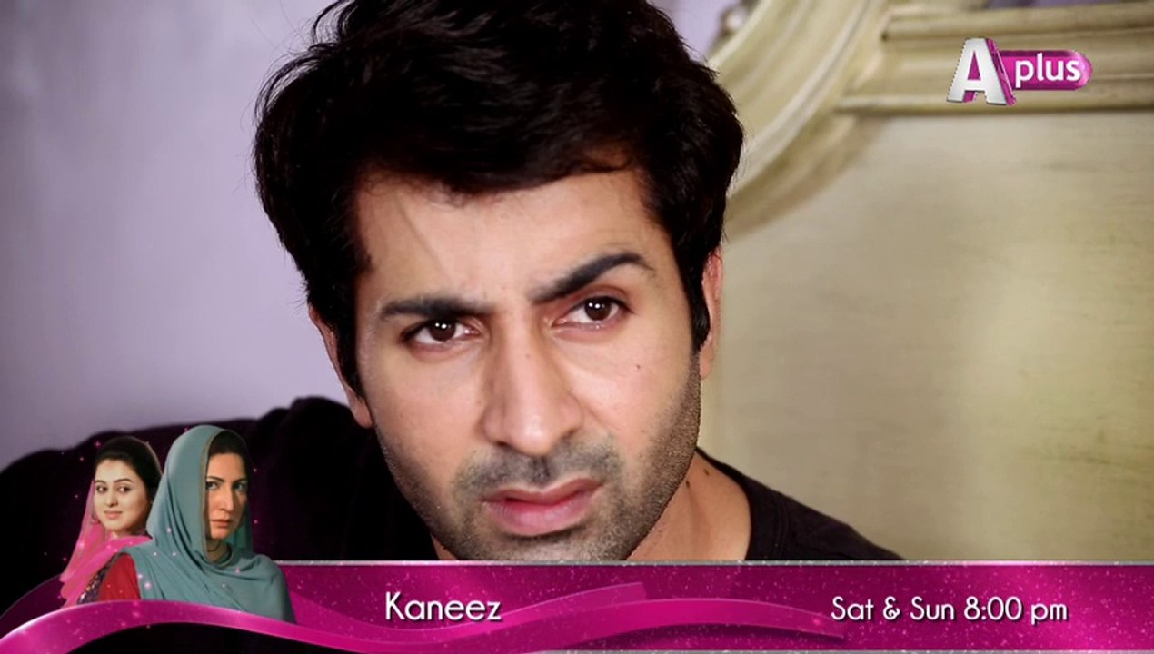Kaneez Episode 87