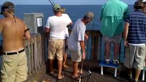King Fishing at Pensacola Pier, Florida