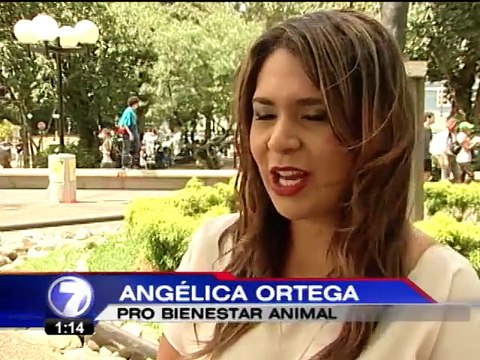 Defensores de ley contra maltrato animal marcharán el domingo