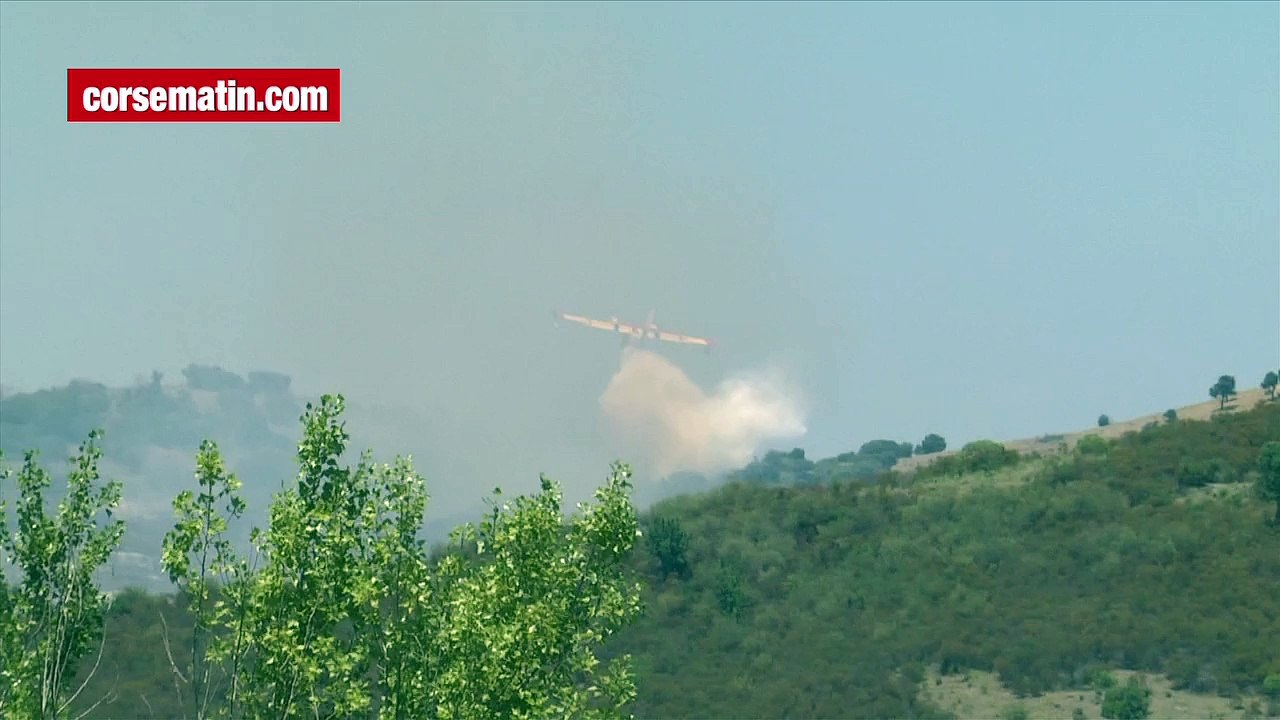 Incendie à Oletta : le feu se propage sur 9 hectares