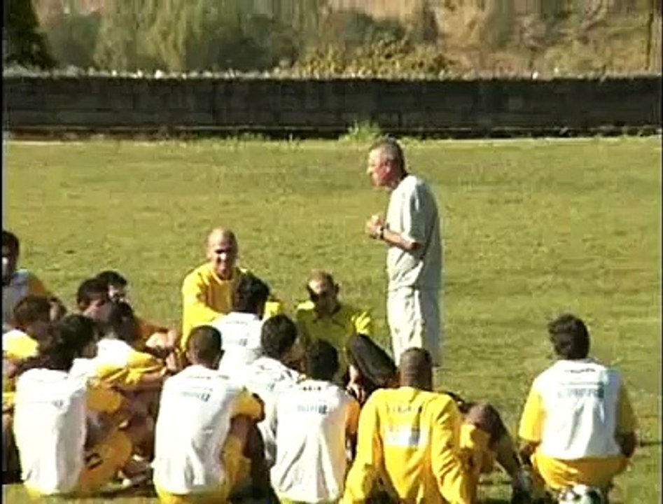 Vt Brasiliense