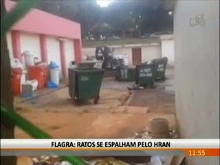 Ratos